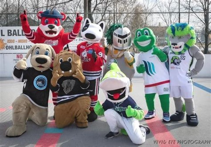 5up – Bio, Facts, Family Life, Career of Gamer