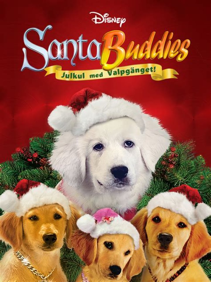 Are the dogs in Santa Buddies real? – Celebrity
