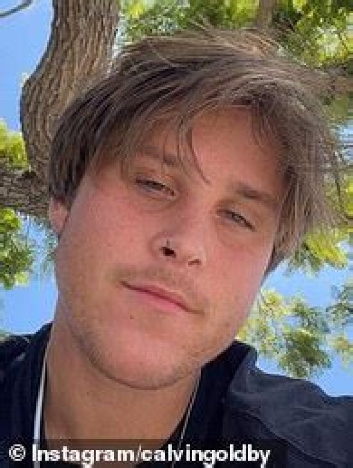 Calvin Goldby – Bio, Facts, Family Life & Career