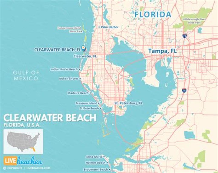Do you need a car to get around Clearwater? – Celebrity