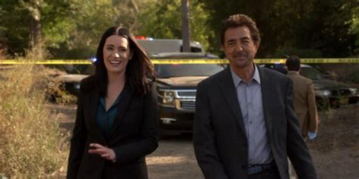 Does Emily Prentiss Come Back In Season 7? – Celebrity