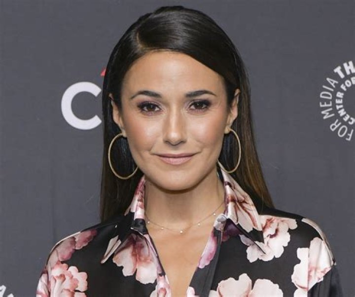 Emmanuelle Chriqui in Bathing Suit Says "Wow Mykonos!!" — Celebwell