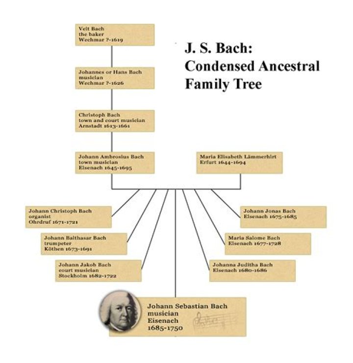 Erwin Bach Biography - Facts, Childhood, Family Life & Achievements