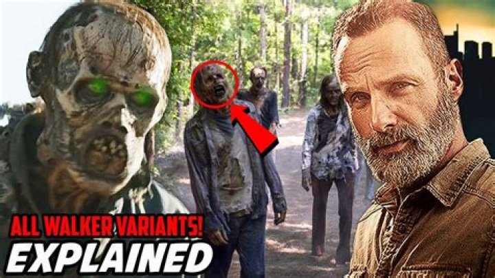 How Many Walkers Killed Walking Dead? – Celebrity