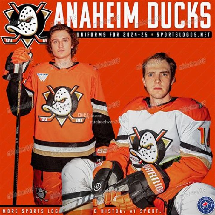 How much are the Anaheim Ducks worth? – Celebrity
