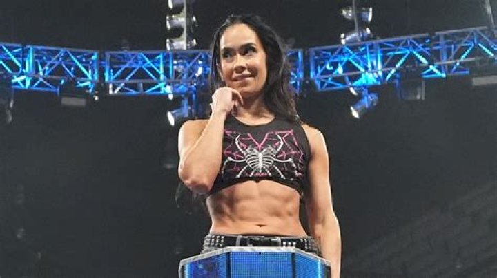 
How Much Money Does Aj Lee Make? Latest Income Salary
