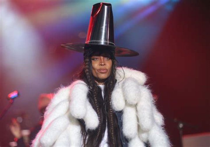
How Much Money Does Erykah Badu Make? Latest Income Salary
