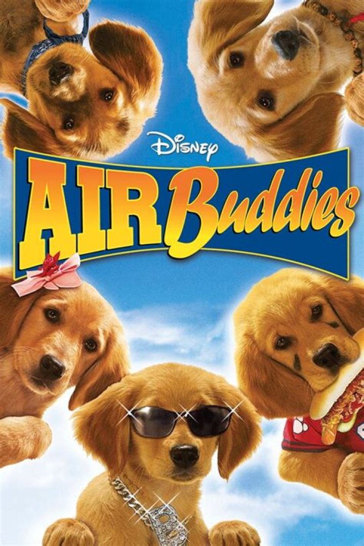 Is Air Buddies on Disney+ PLUS? – Celebrity