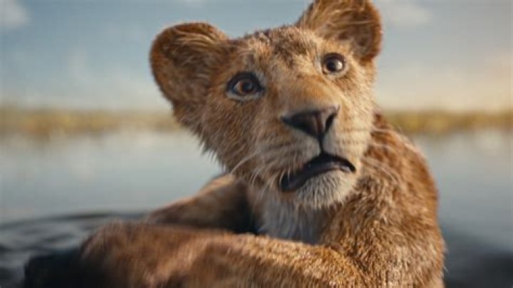 Is there a new Lion King coming out? – Celebrity