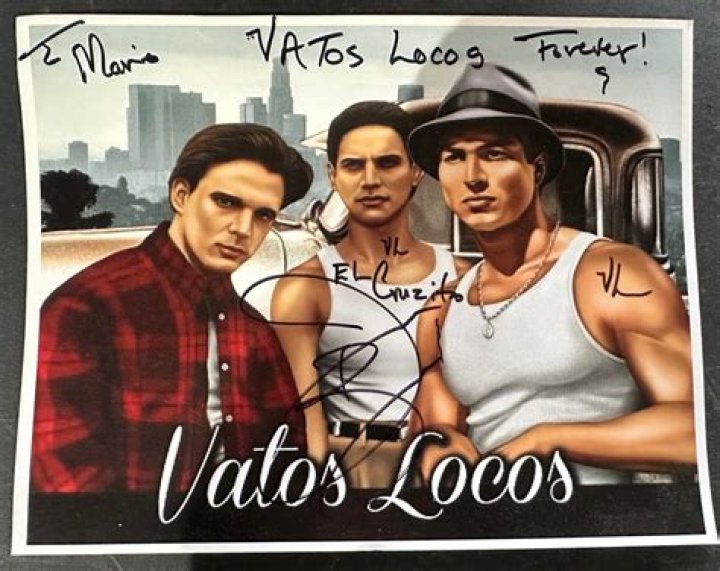 Is Vatos Locos a sequel to Blood in blood out? – Celebrity