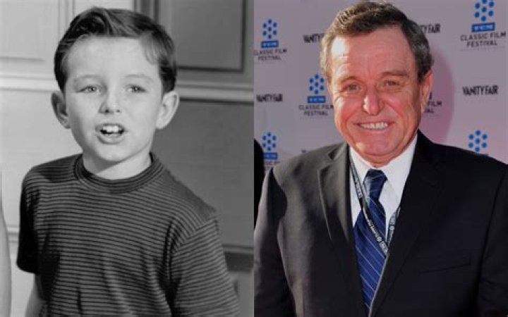 Jerry Mathers Biography - Facts, Childhood, Family Life & Achievements of Actor