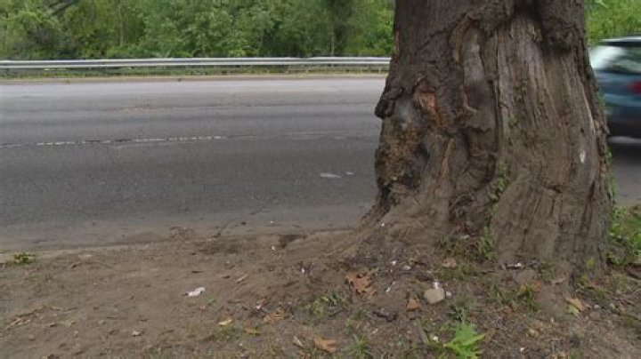 Kelly Anz Dies After Hitting Tree at Eldora. Kelly Anz Obituary