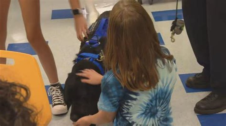 Liam Stewart Dies in a Car Accident, Euclid Middle School 7th Grader