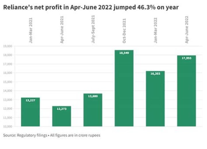 My Self Reliance Net Worth & Earnings (2024)