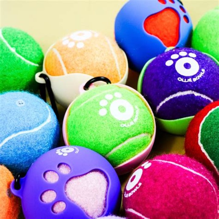 Ollie Ball – Bio, Facts, Family Life, Career