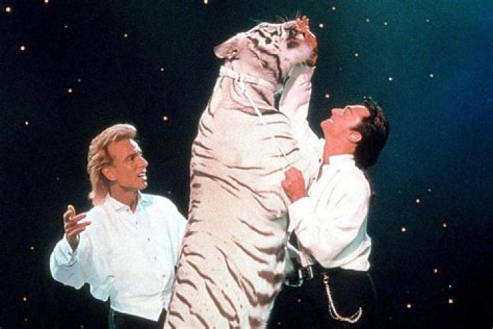 Siegfried and Roy: What Happened the Night of the Tiger Attack?