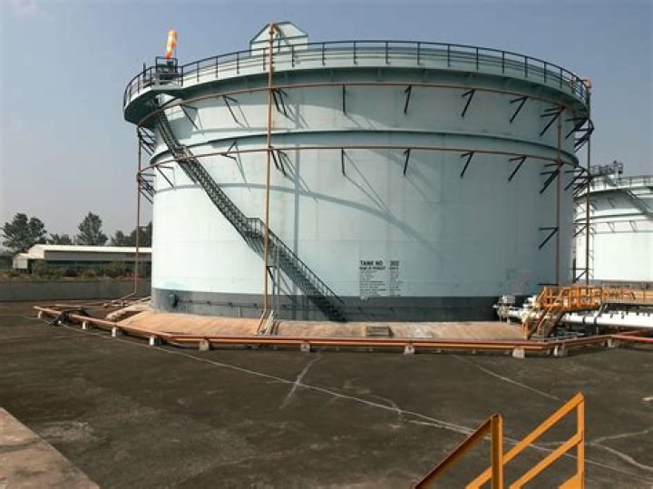 Was Bella Alive In The Oil Tank? – Celebrity