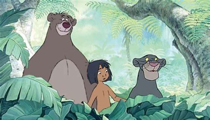 Was Mowgli’s palace real? – Celebrity
