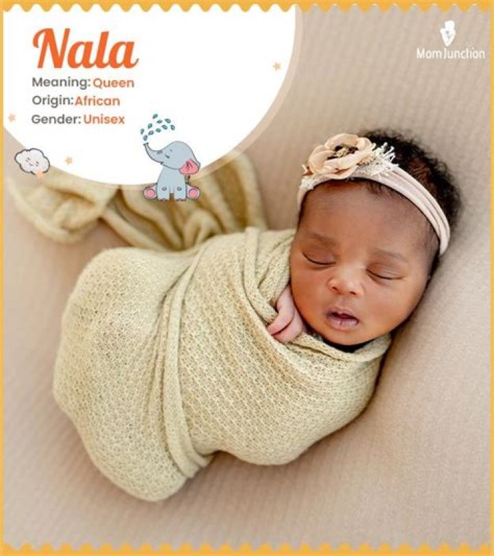 What does Nala mean in African? – Celebrity