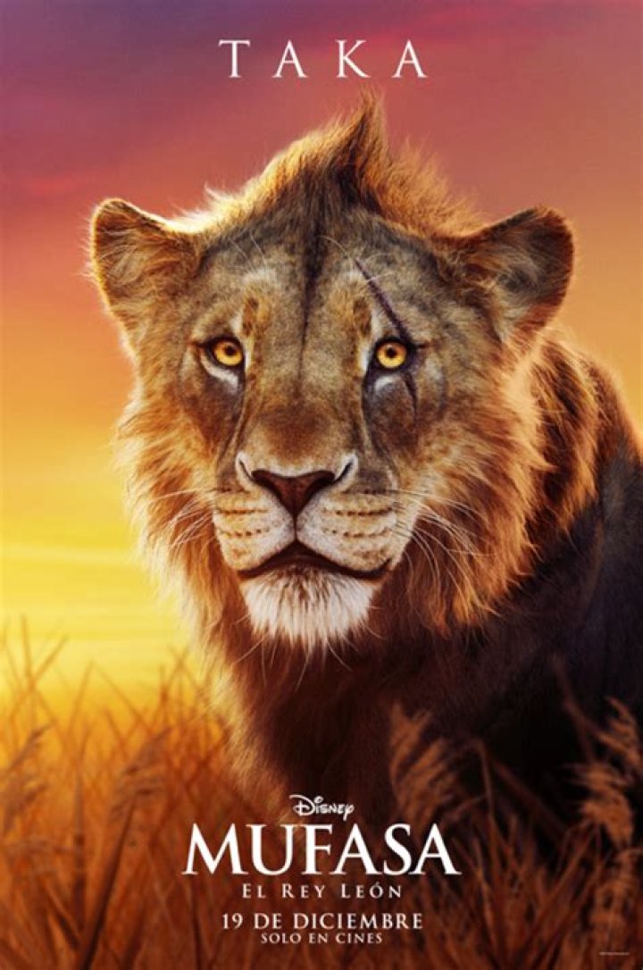 What does taka mean in Swahili? – Celebrity