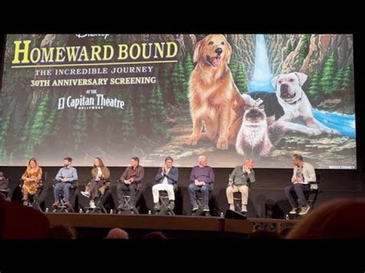What is the true story behind Homeward Bound? – Celebrity