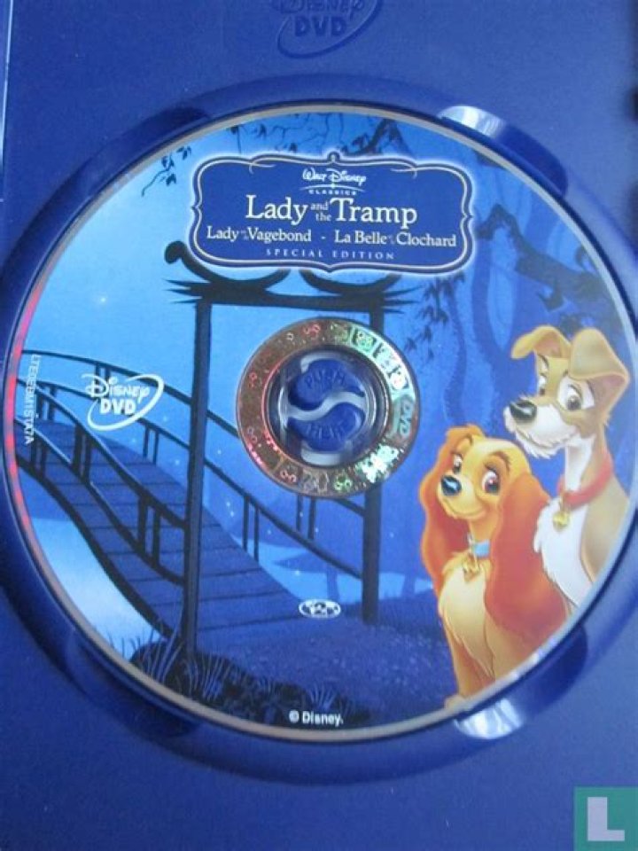 What is tramps name in Lady and the Tramp? – Celebrity