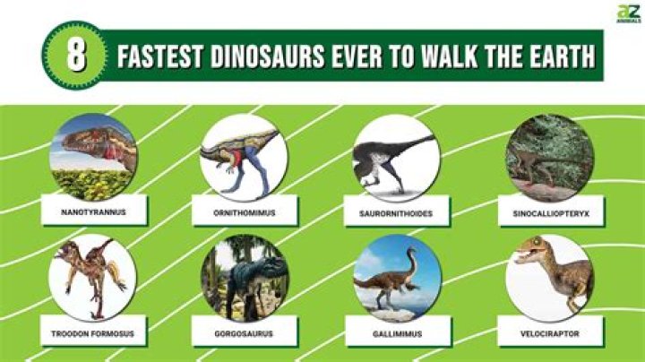 What was the fastest dinosaur? – Celebrity