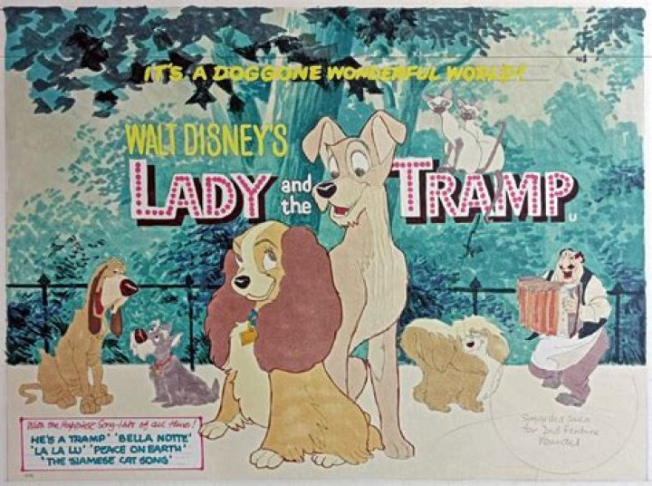 Where is Lady and the Tramp 1955 set? – Celebrity