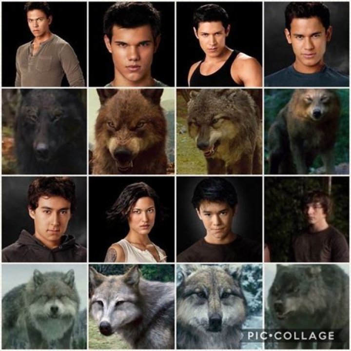 Which Wolf Is Seth In Twilight? – Celebrity