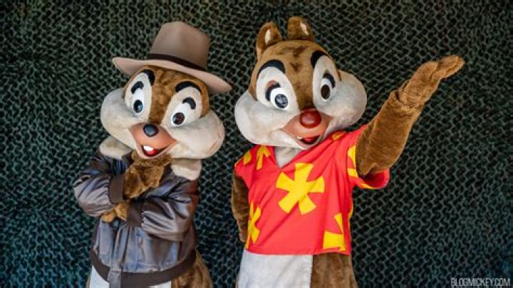 Who is Chip and whos Dale? – Celebrity