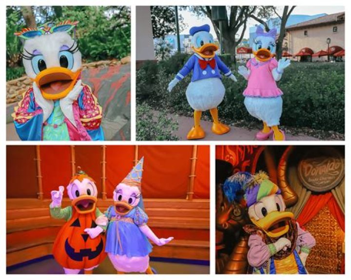 Who is Daisy Duck to Donald? – Celebrity