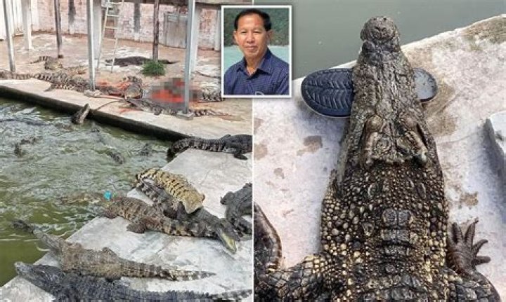 Who was Luan Nam? , Reptile Farmer Who Was killed by Crocodile