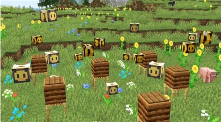 Why Do My Bees Keep Disappearing In Minecraft? – Celebrity