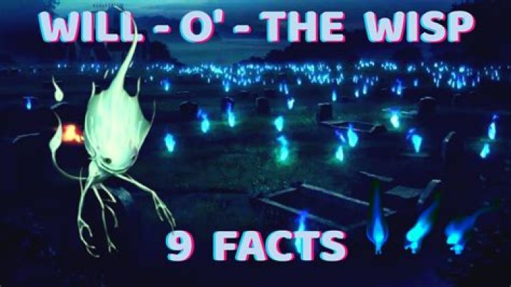 Wisp (Kit) – Bio, Facts, Family Life & Career